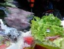 food food
