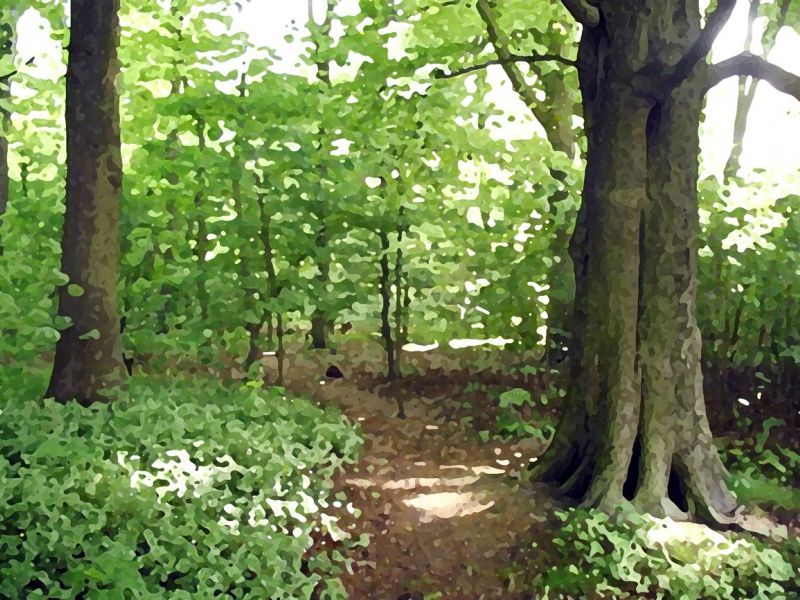 03licht und schatten 03licht und schatten