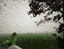 mysterious wendland mysterious wendland