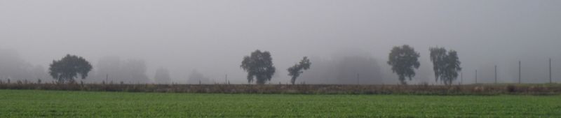 nebel nebel