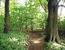 03licht und schatten 03licht und schatten