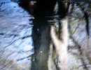 12baum 12baum